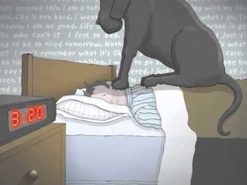 Black Dog