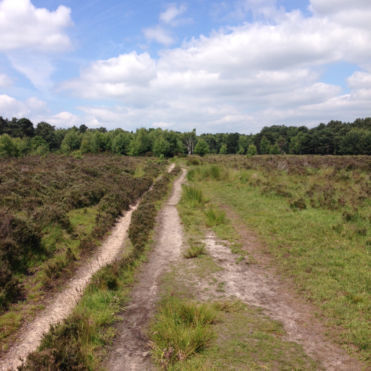 Heading towards Streetly Gate
