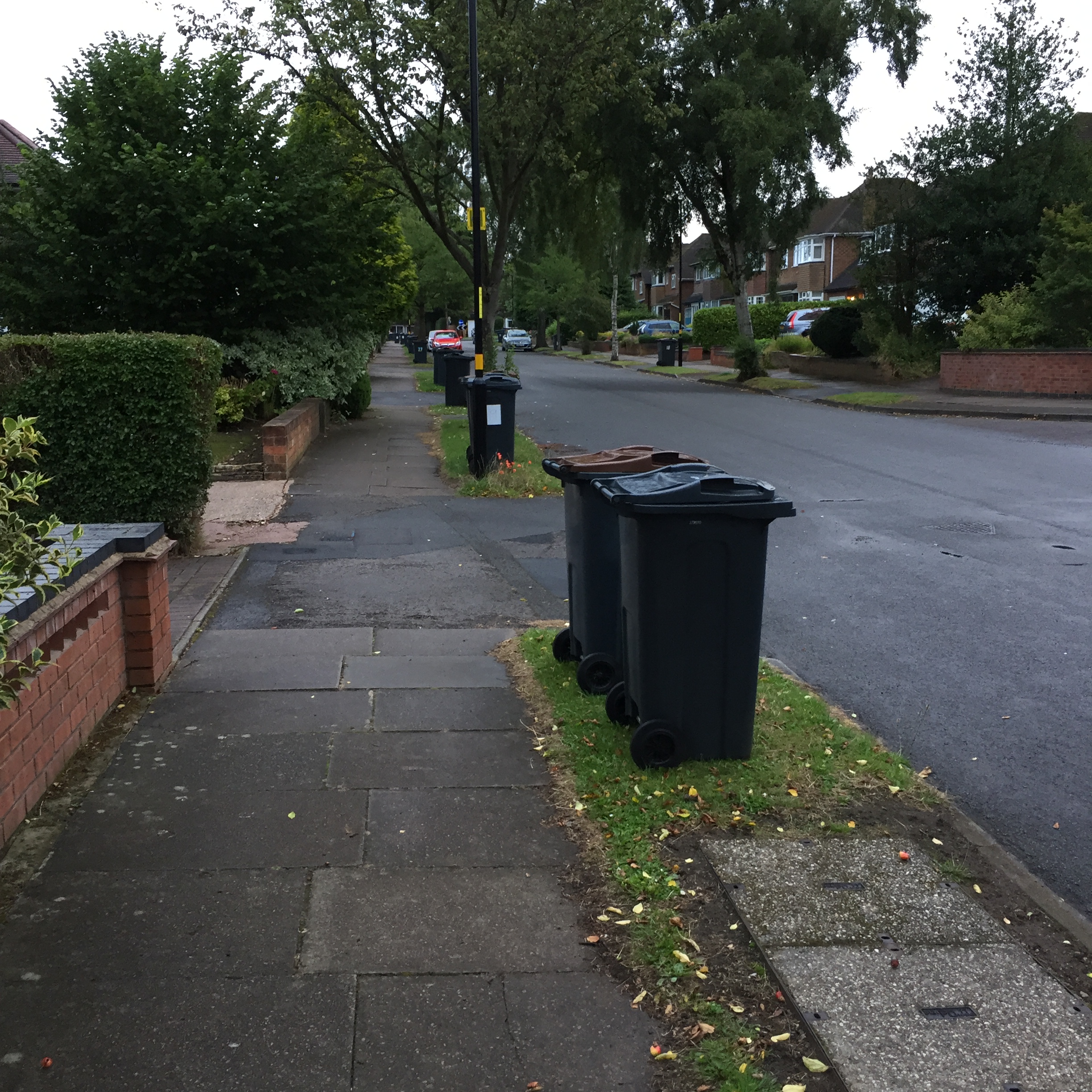 Bins