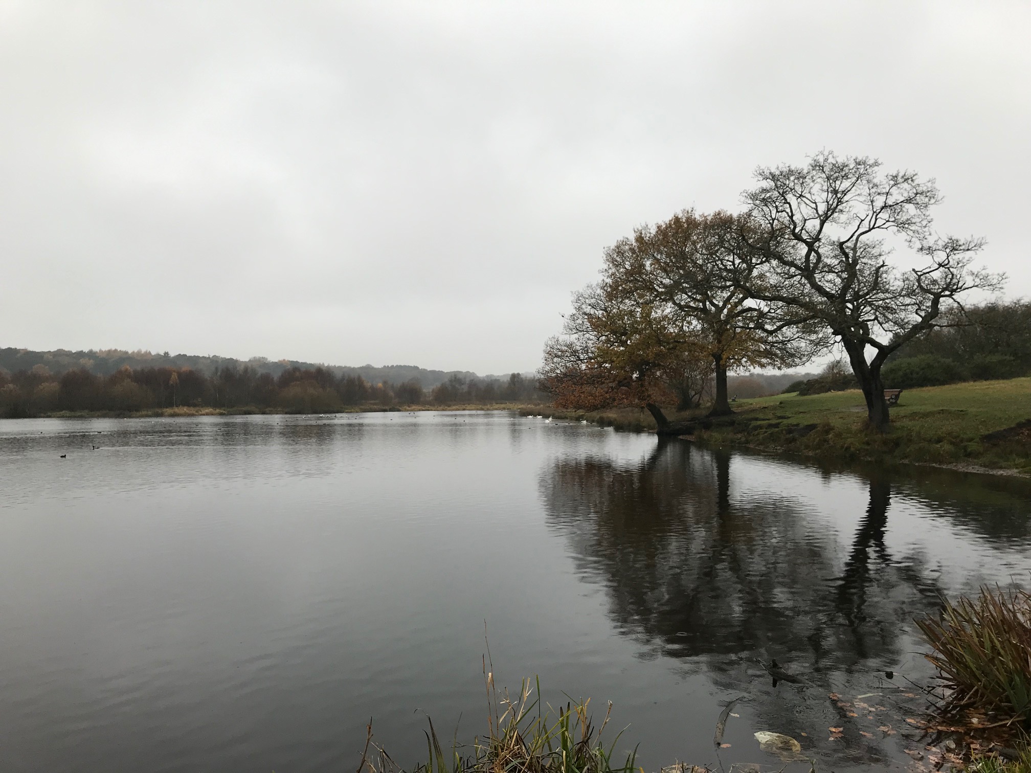 A gloomy Saturday