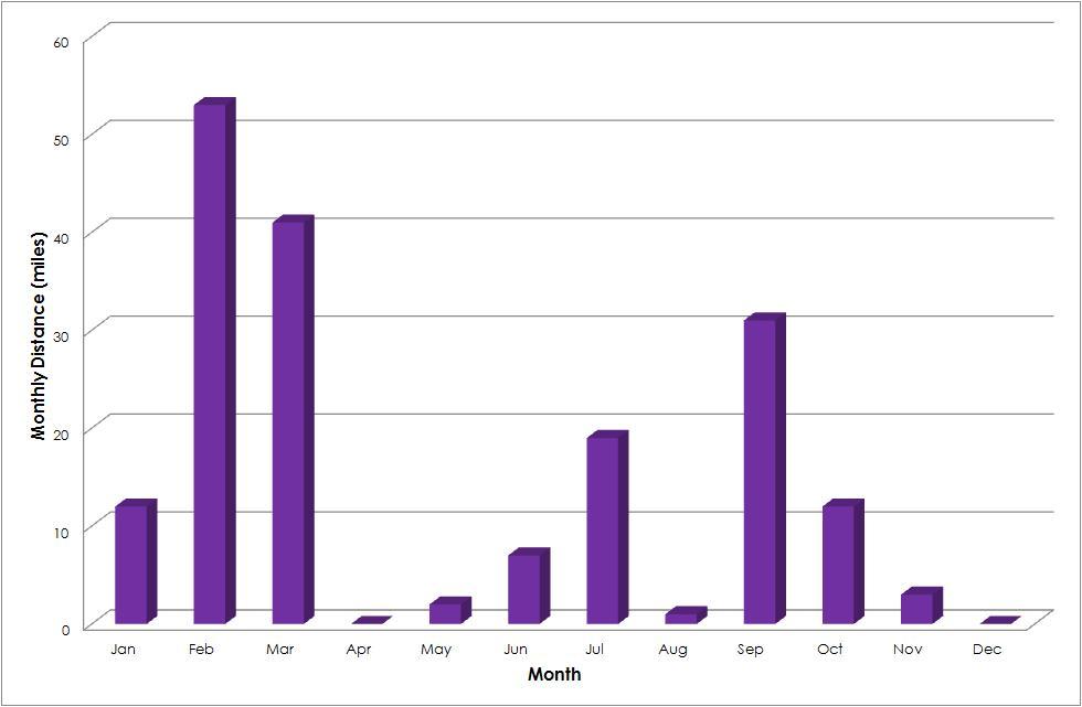 2019 Mileage
