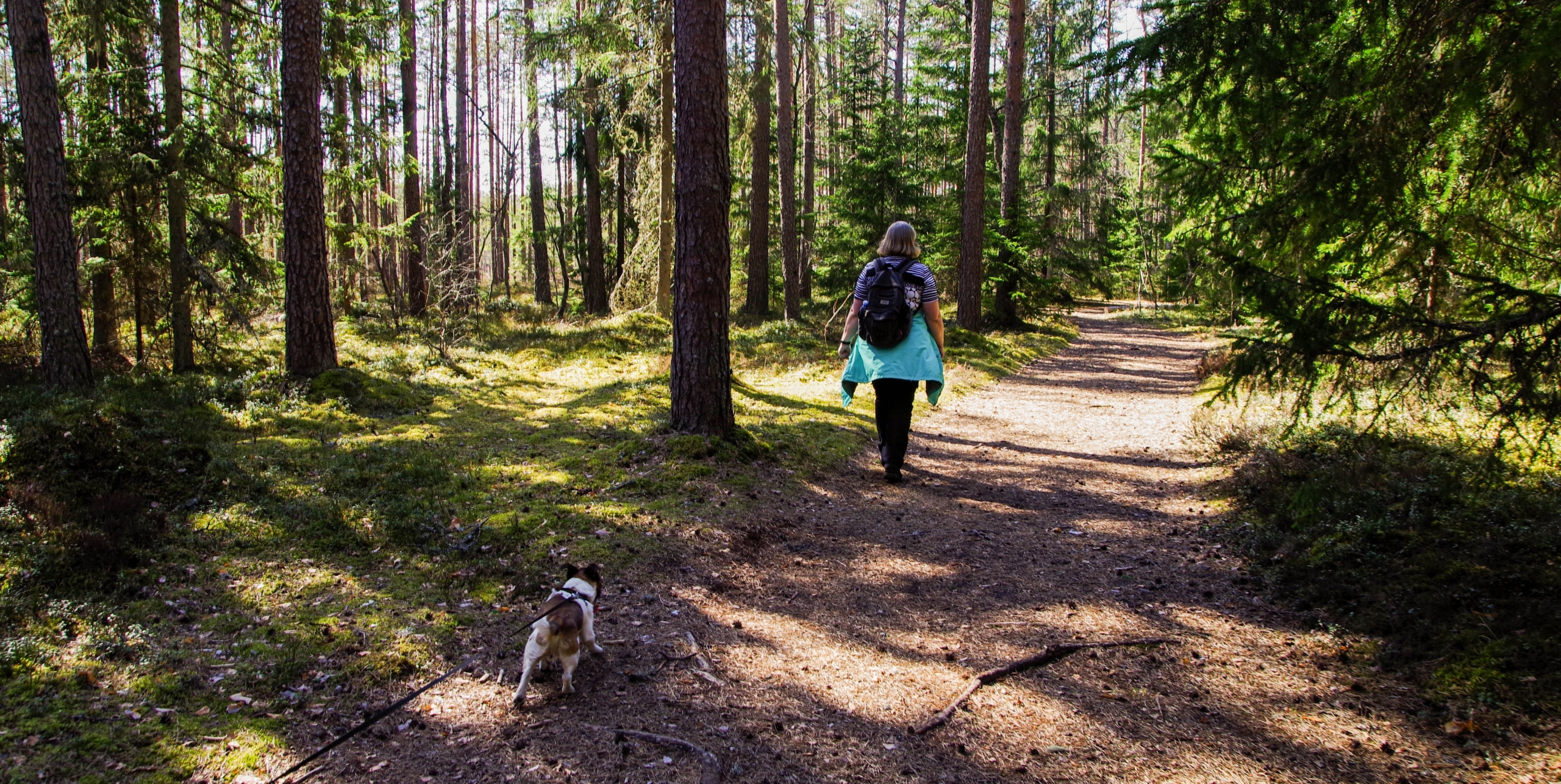 woman-wearing-black-backpack-walking-on-the-forest-with-her-1009400