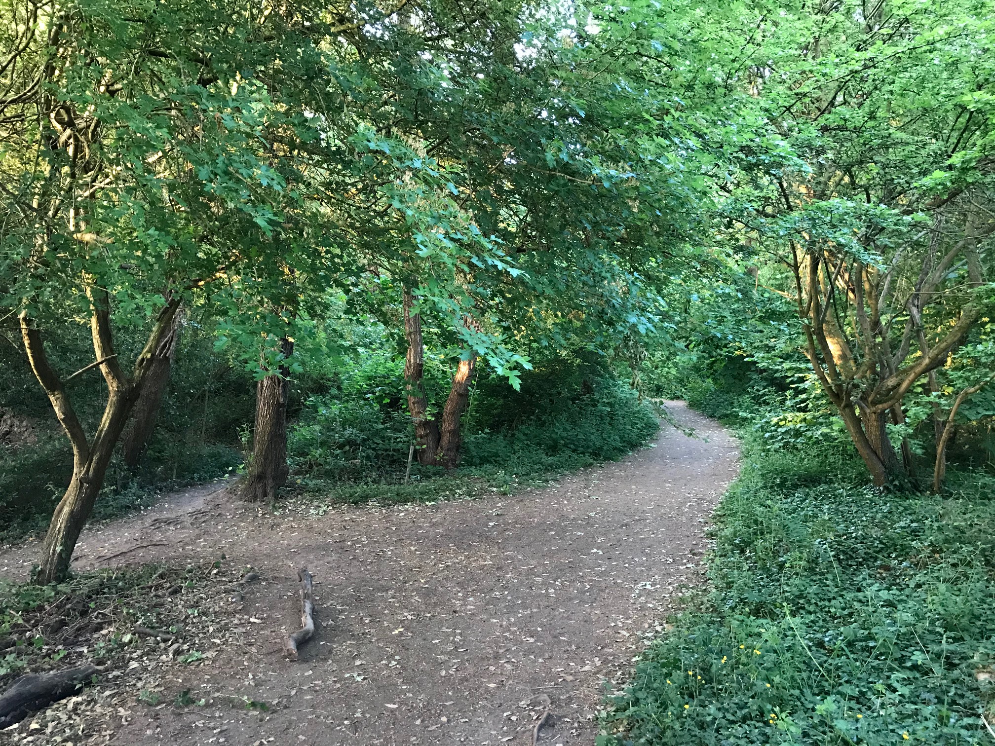 Hill Hook Nature Reserve