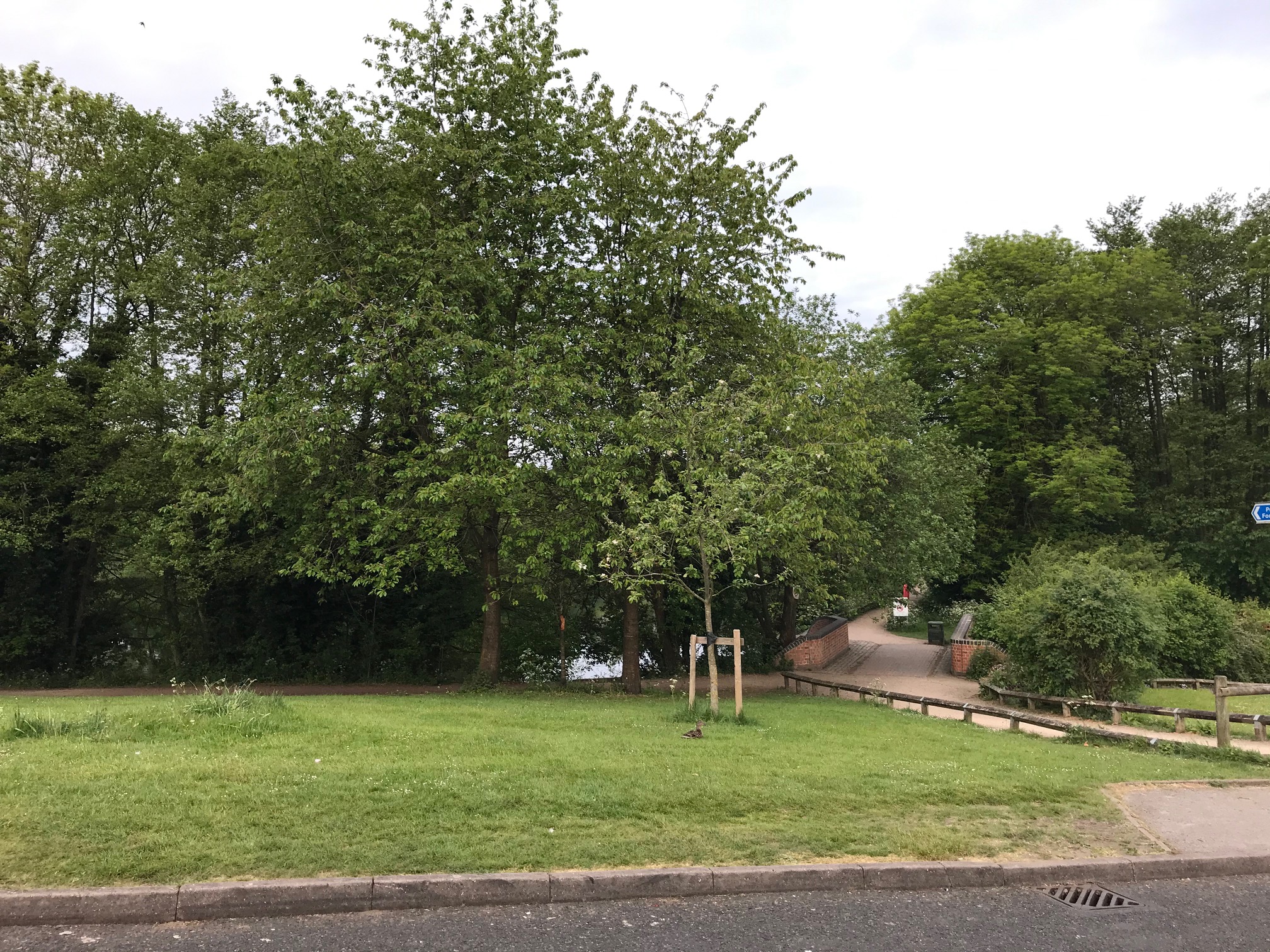Hill Hook Nature Reserve