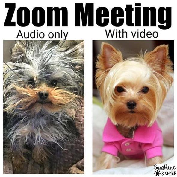 Zoom Meeting