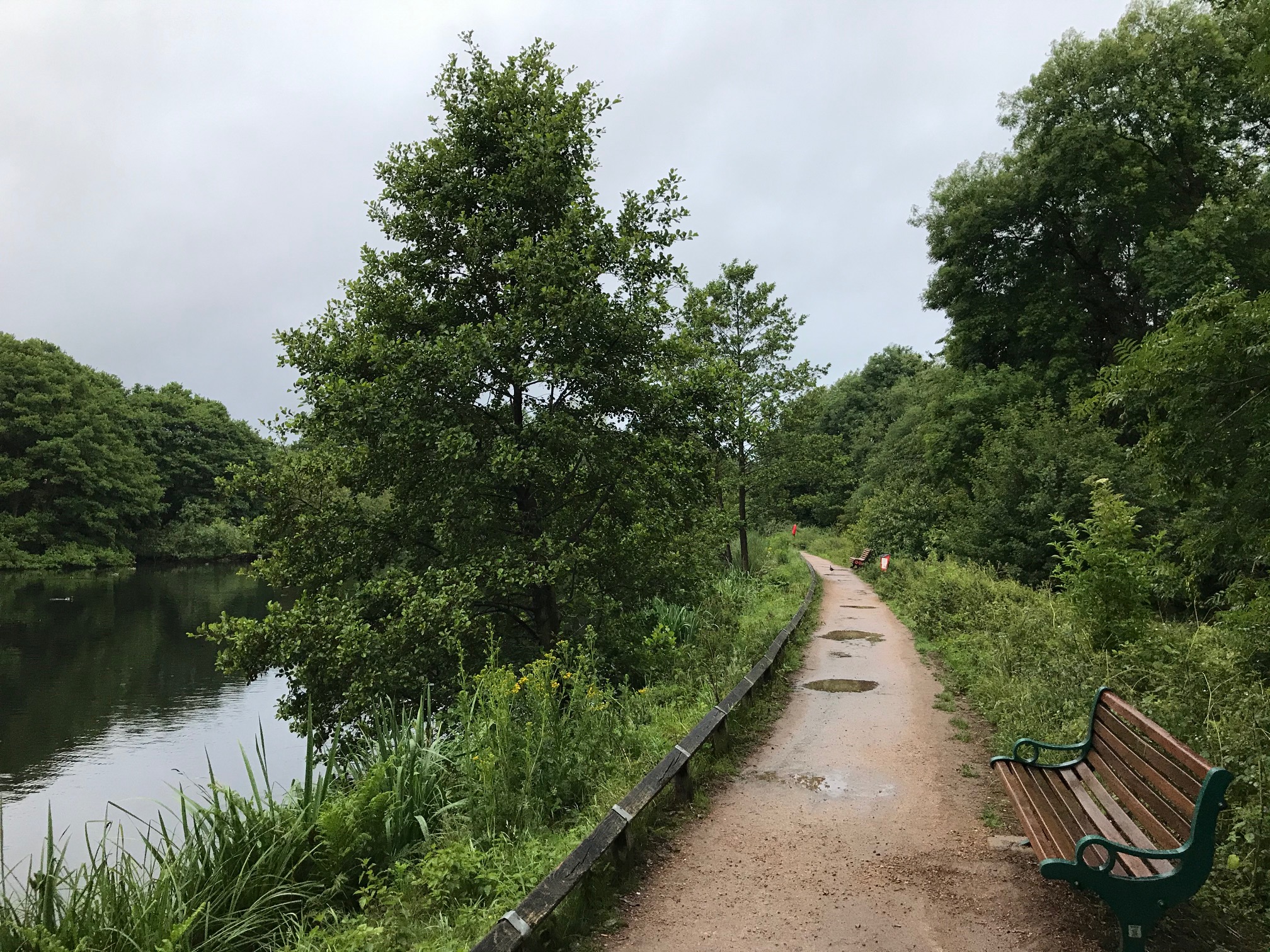 Hill Hook Nature Reserve