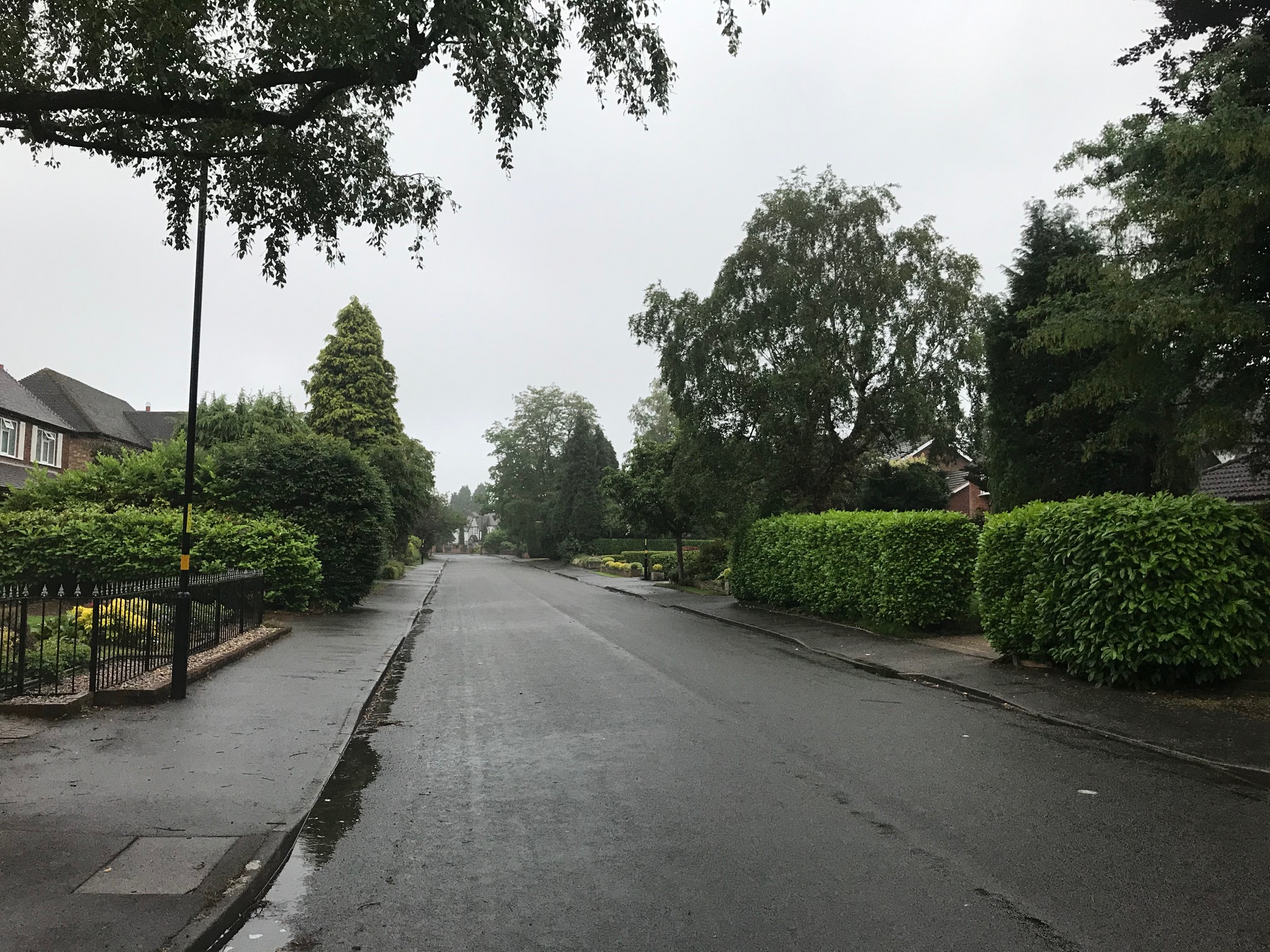 Rainy Thursday